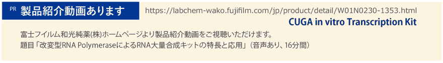 RNA合成キット