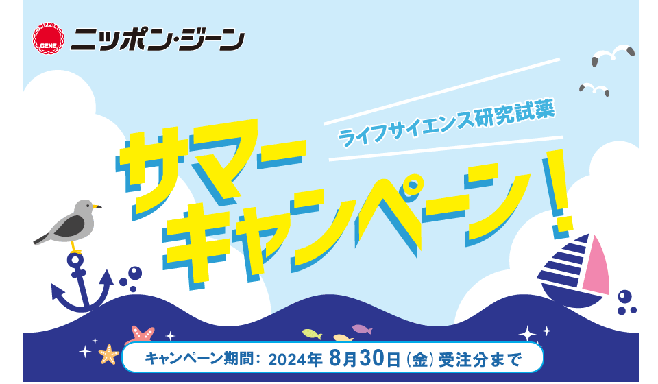 ニッポンジーン夏のキャンペーン2024.06.17-08.30