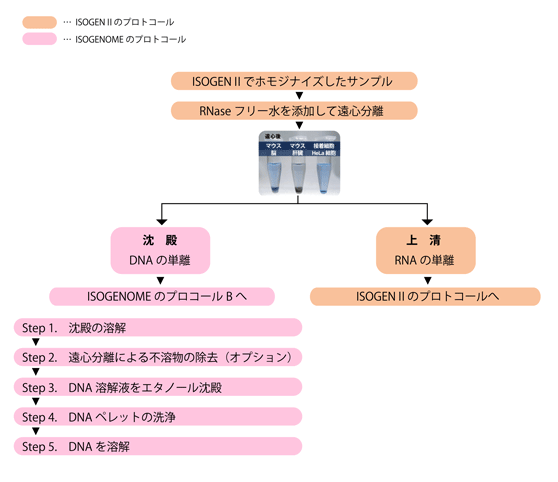 Isogenome Dna抽出用試薬 ニッポンジーン