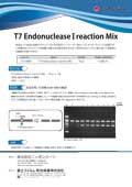 T7 Endonuclease I reaction Mix